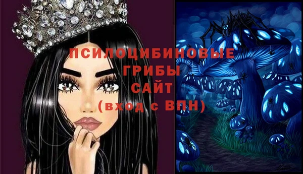 героин Алексин