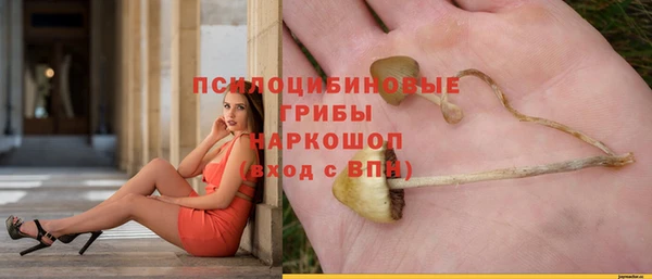 спиды Алзамай