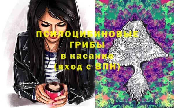 героин Алексин
